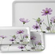 تاریخچه ساخت سینی