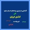 بهترین برندهای اسباب بازی در ایران